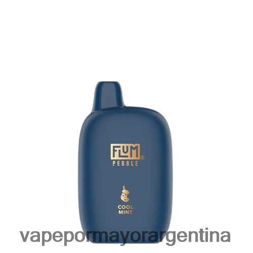 Venta De Vaporizadores Al Por Mayor - FLUM PEBBLES 6000 caladas (edición navideña) menta fresca RRT88N5