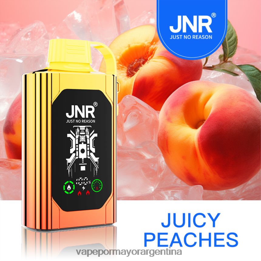 FDLPBF622 melocotones jugosos - Vaporizador Desechable Al Por Mayor JNR SHISHA BOX