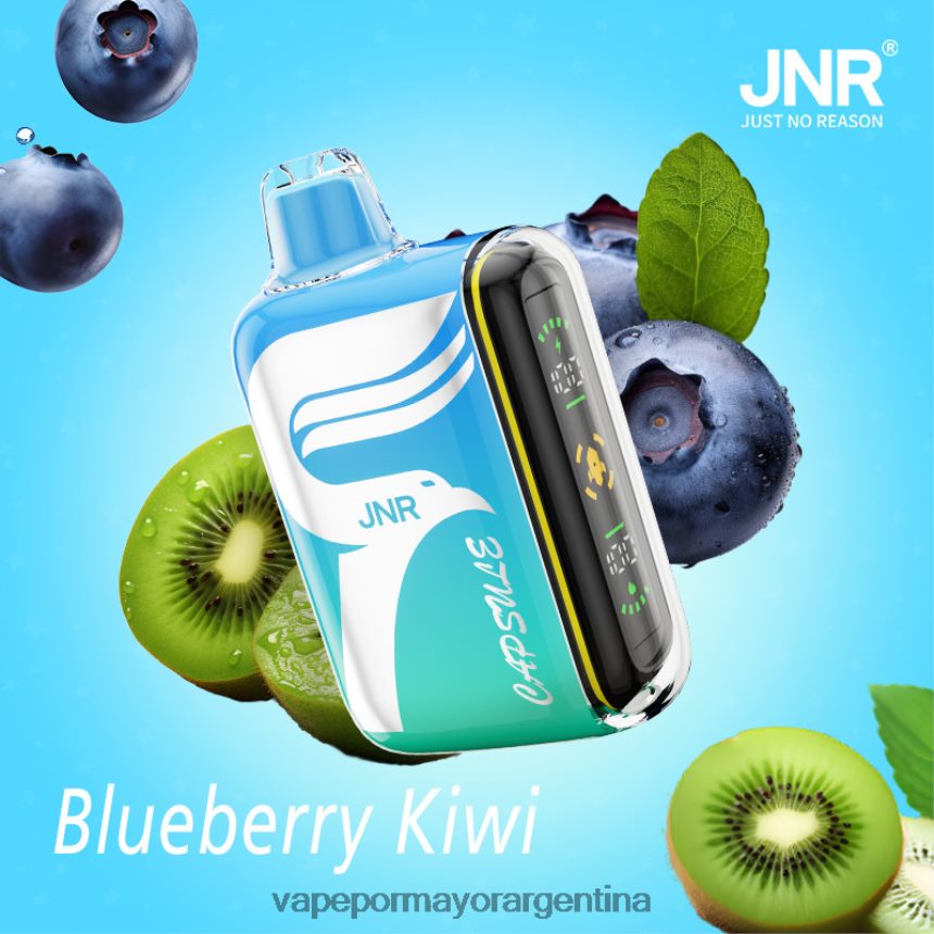 FDLPBF597 arándano-kiwi - Productos De Vapeo Al Por Mayor JNR CAPSULE
