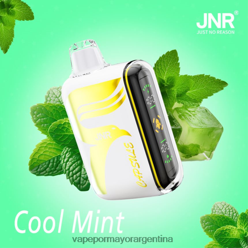 FDLPBF604 menta fresca - Vapeo Al Por Mayor JNR CAPSULE