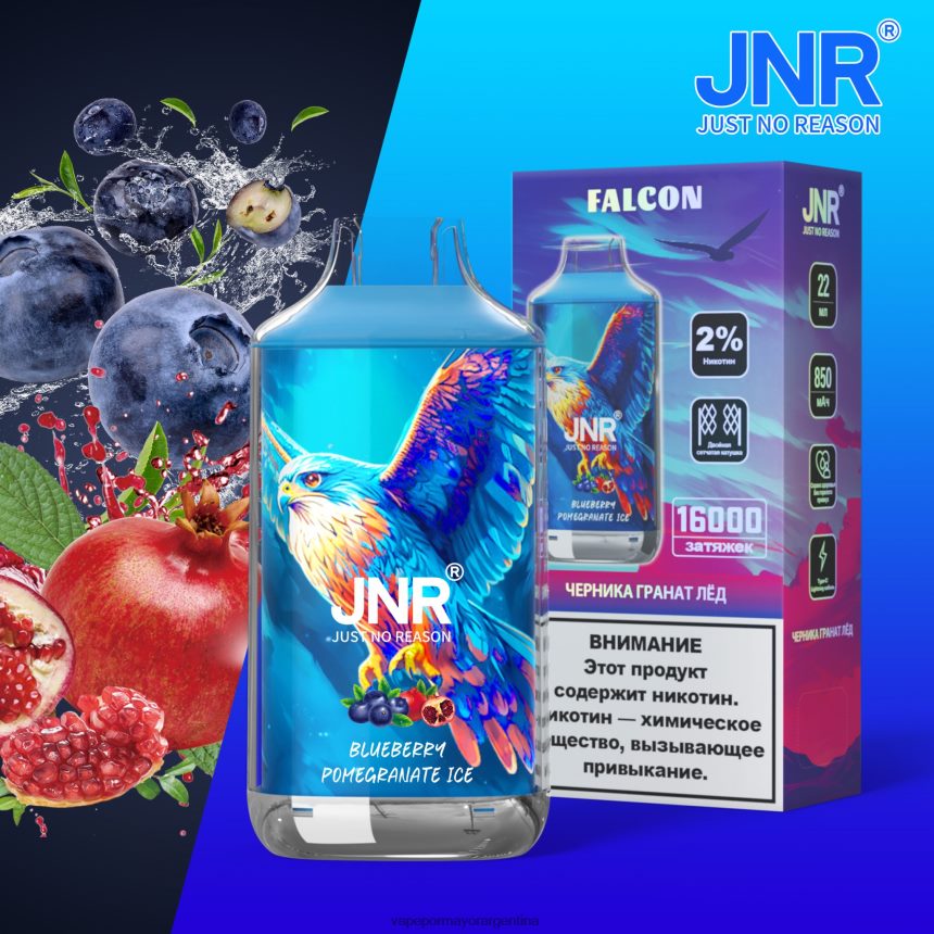 FDLPBF698 hielo de granada y arándanos - Vape Recargable JNR FALCON