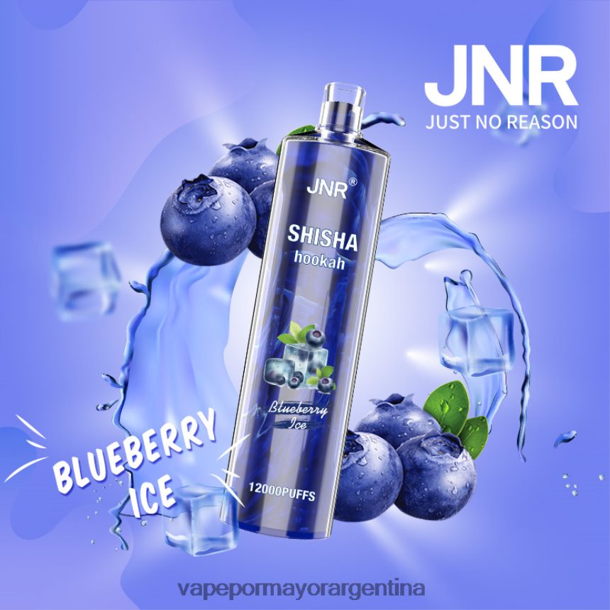 FDLPBF671 hielo de arándanos - Vaporizador Al Por Mayor JNR SHISHA