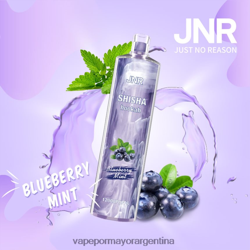 FDLPBF672 menta de arándanos - Vaporizador Desechable Al Por Mayor JNR SHISHA