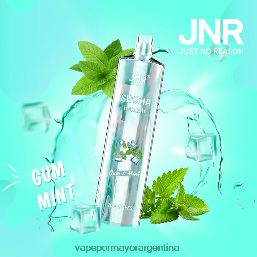 FDLPBF679 goma de menta - Vape Por Mayor Argentina JNR SHISHA