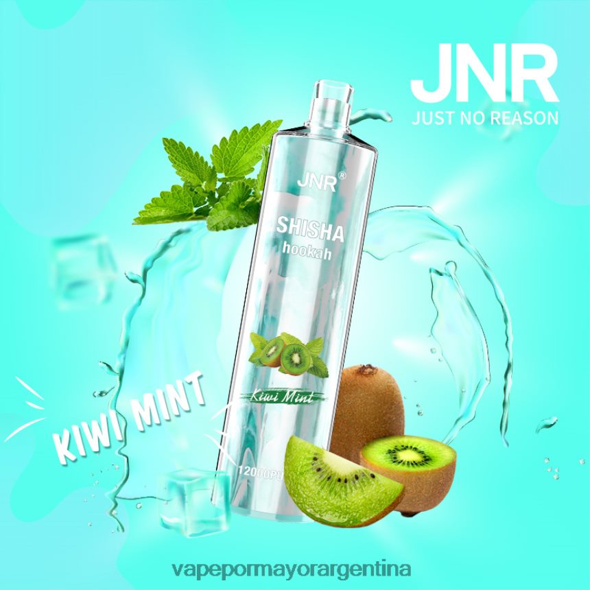 FDLPBF681 menta kiwi - Vaporizador Al Por Mayor JNR SHISHA