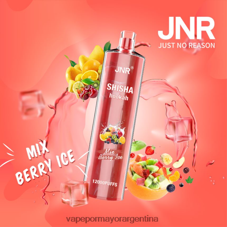 FDLPBF685 mezclar hielo de bayas - Distribuidor Vapeo Al Por Mayor JNR SHISHA