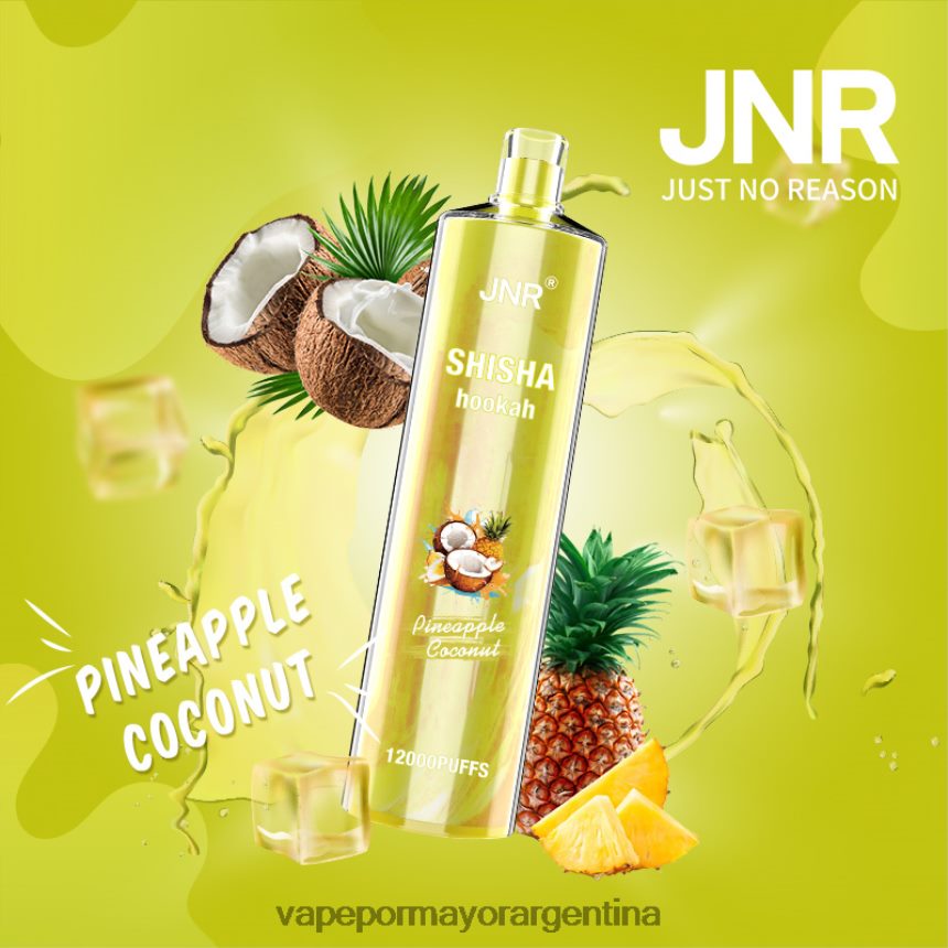FDLPBF686 coco piña - Tienda De Vapeo Al Por Mayor JNR SHISHA