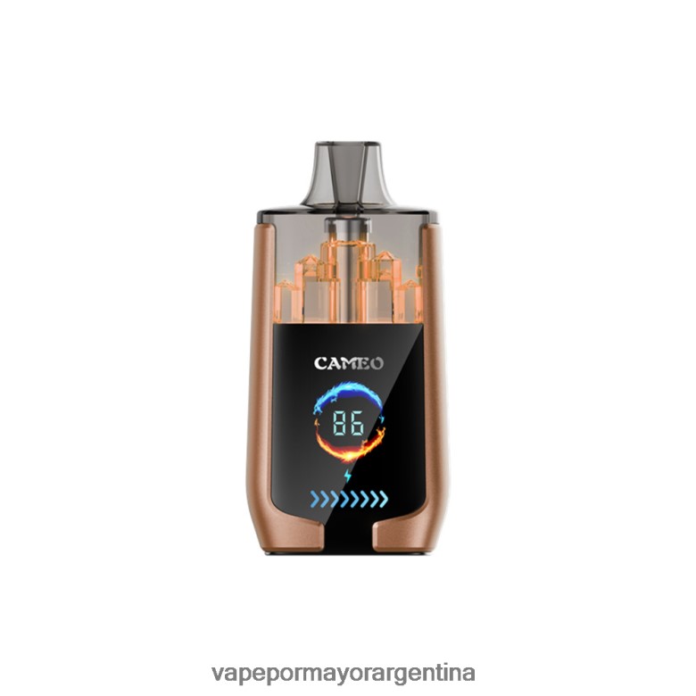 Tienda De Vapeo Al Por Mayor - LAVIE CAMEO 30000 bocanadas 04HZV018 hielo de cafe