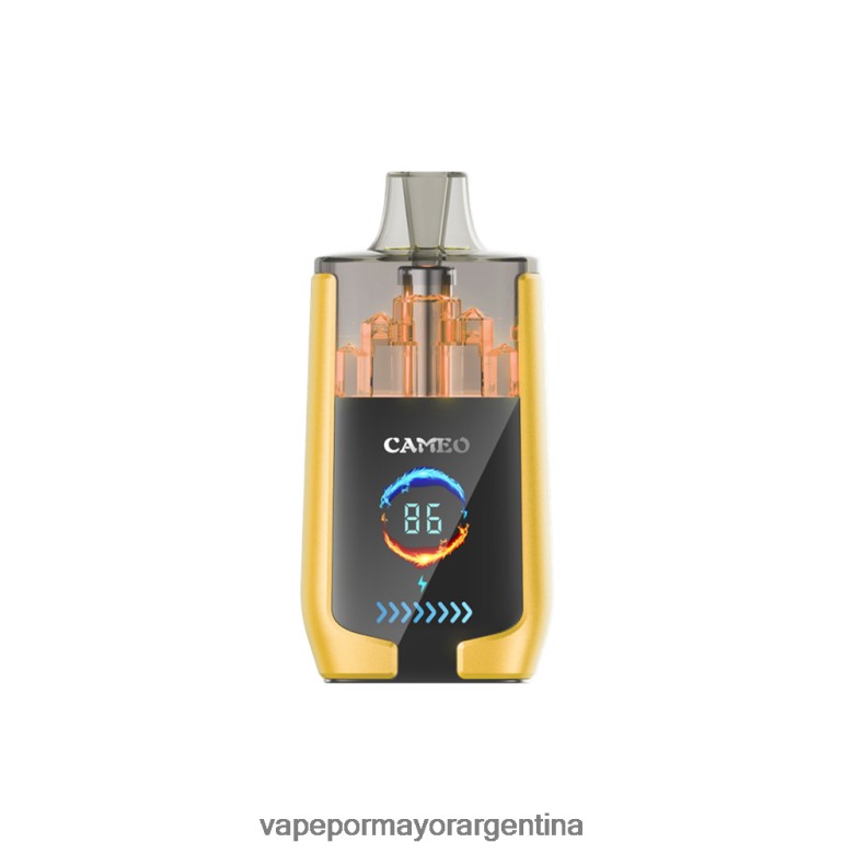 Vape Por Mayor Argentina - LAVIE CAMEO 30000 bocanadas 04HZV021 hielo de mango