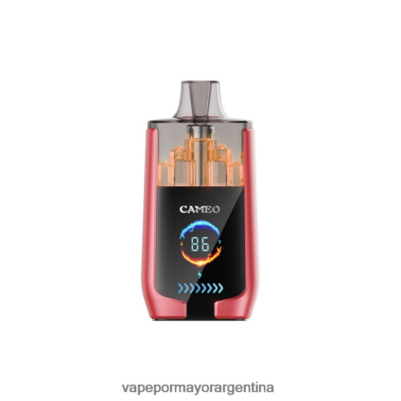 Vaporizador Desechable Al Por Mayor - LAVIE CAMEO 30000 bocanadas 04HZV014 hielo de sandia