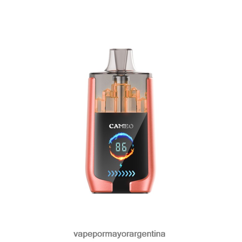 Vaporizador Desechable Al Por Mayor - LAVIE CAMEO 30000 bocanadas 04HZV024 sandia fresa