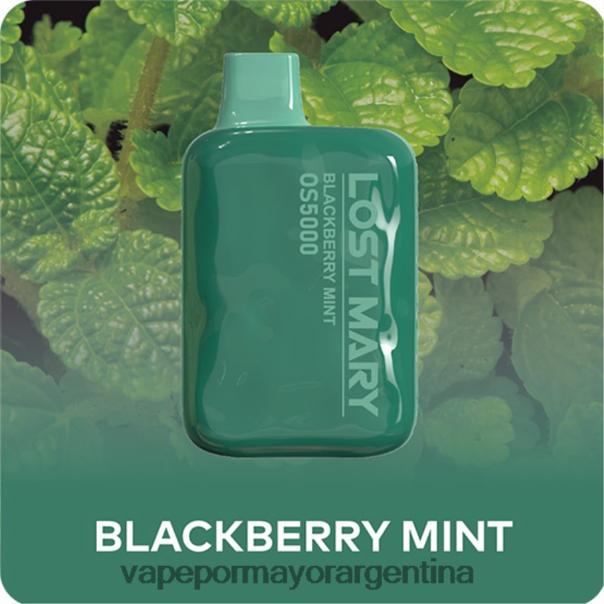 FDLPBF485 menta mora - Distribuidor Vapeo Al Por Mayor LOST MARY OS5000