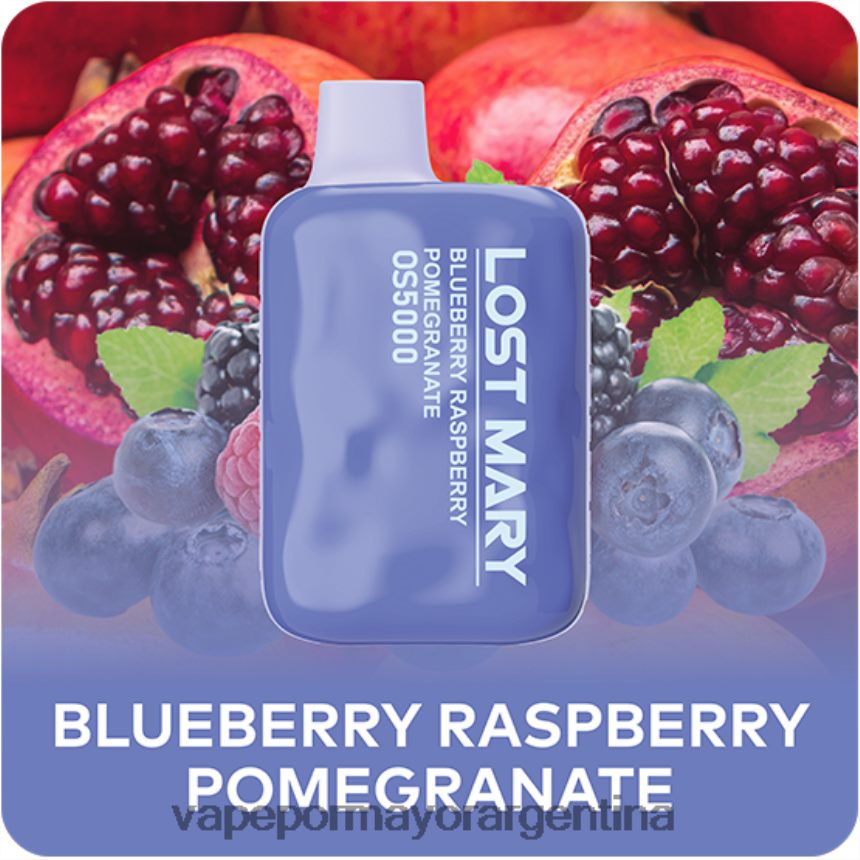 FDLPBF487 arándano frambuesa granada - Productos De Vapeo Al Por Mayor LOST MARY OS5000