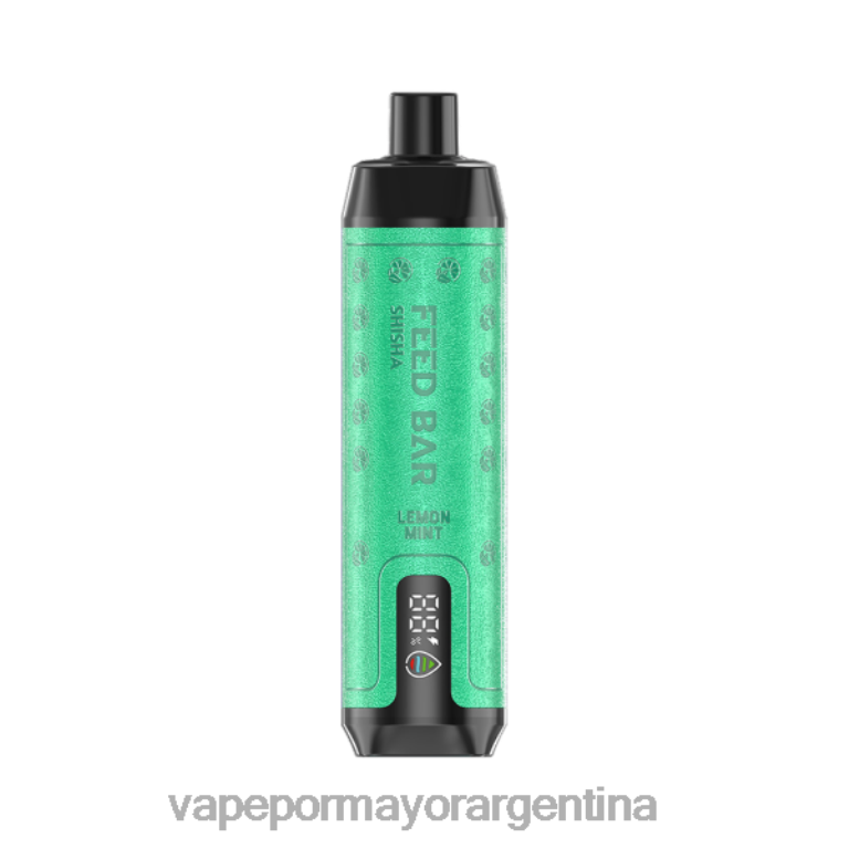 Vape Por Mayor Argentina - Vapsolo SHISHA vaporizador desechable menta limon 62624101