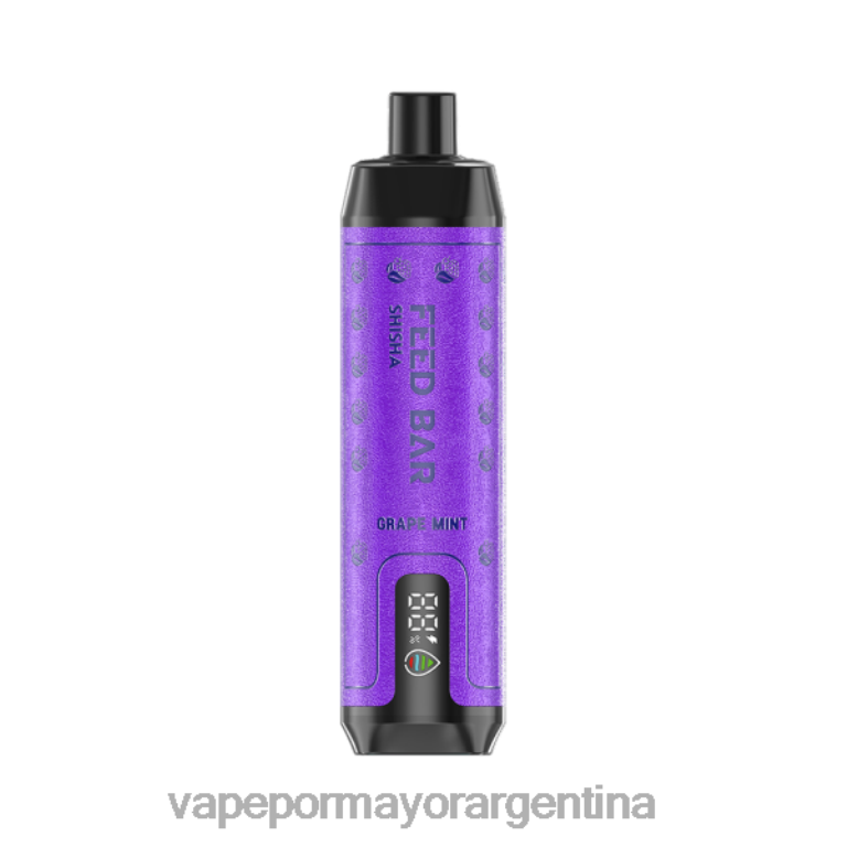 Vape Recargable - Vapsolo SHISHA vaporizador desechable menta de uva 62624100