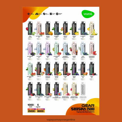 Vape Por Mayor Argentina - VOZOL engranaje shisha 25000 multi RRT88N1