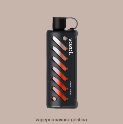 Vape Por Mayor Argentina - VOZOL engranaje shisha 25000 multi RRT88N1