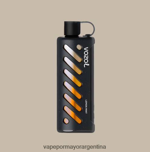 Vape Por Mayor Argentina - VOZOL engranaje shisha 25000 multi RRT88N1